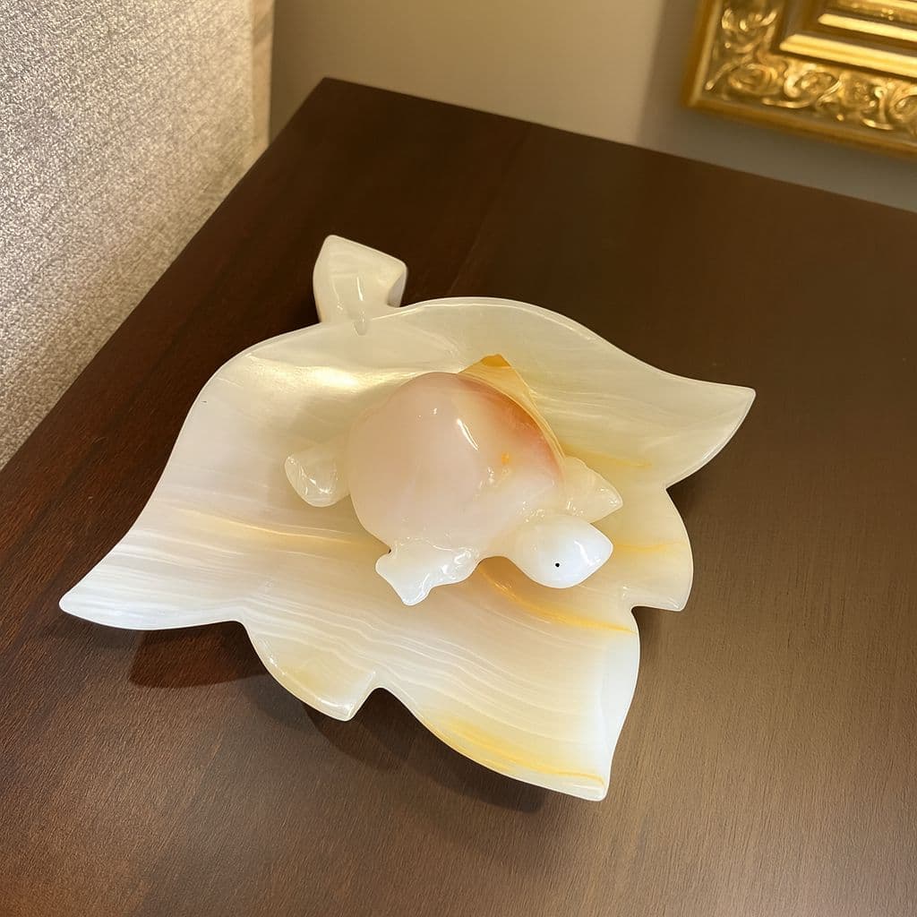 Tortoise - product image